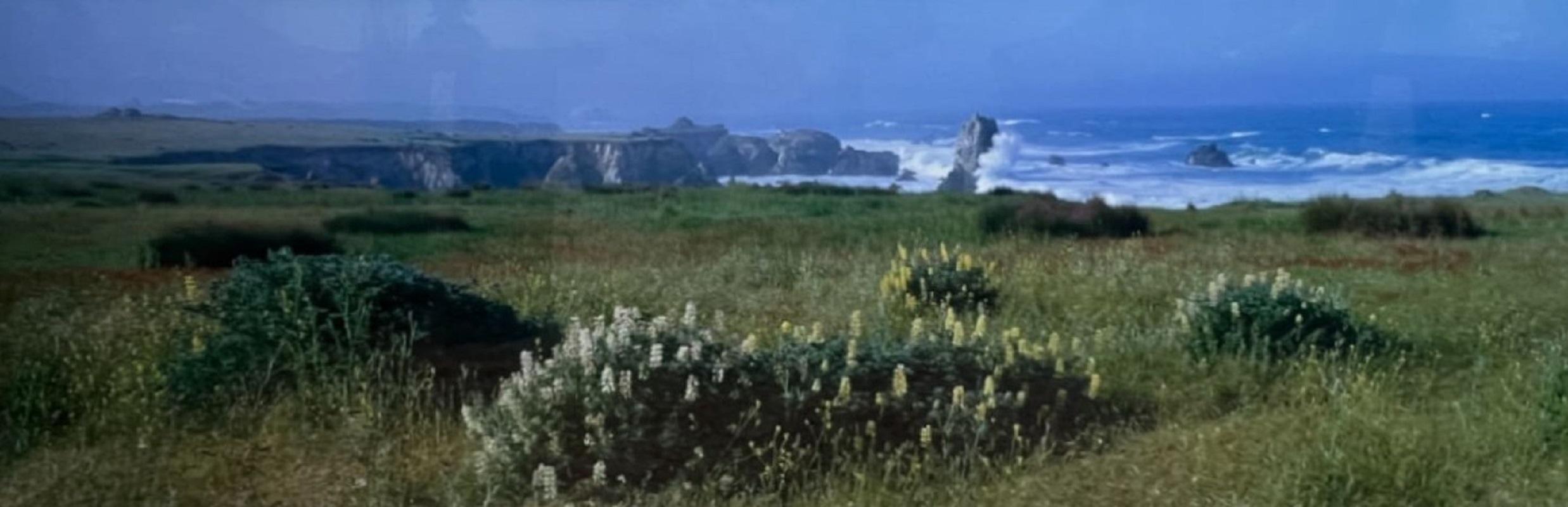 A framed behind glass and matted panorama photograph titled 