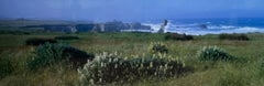 Robert Salisbury Knight Panorama Photograph, "Wildflower Coast", Framed