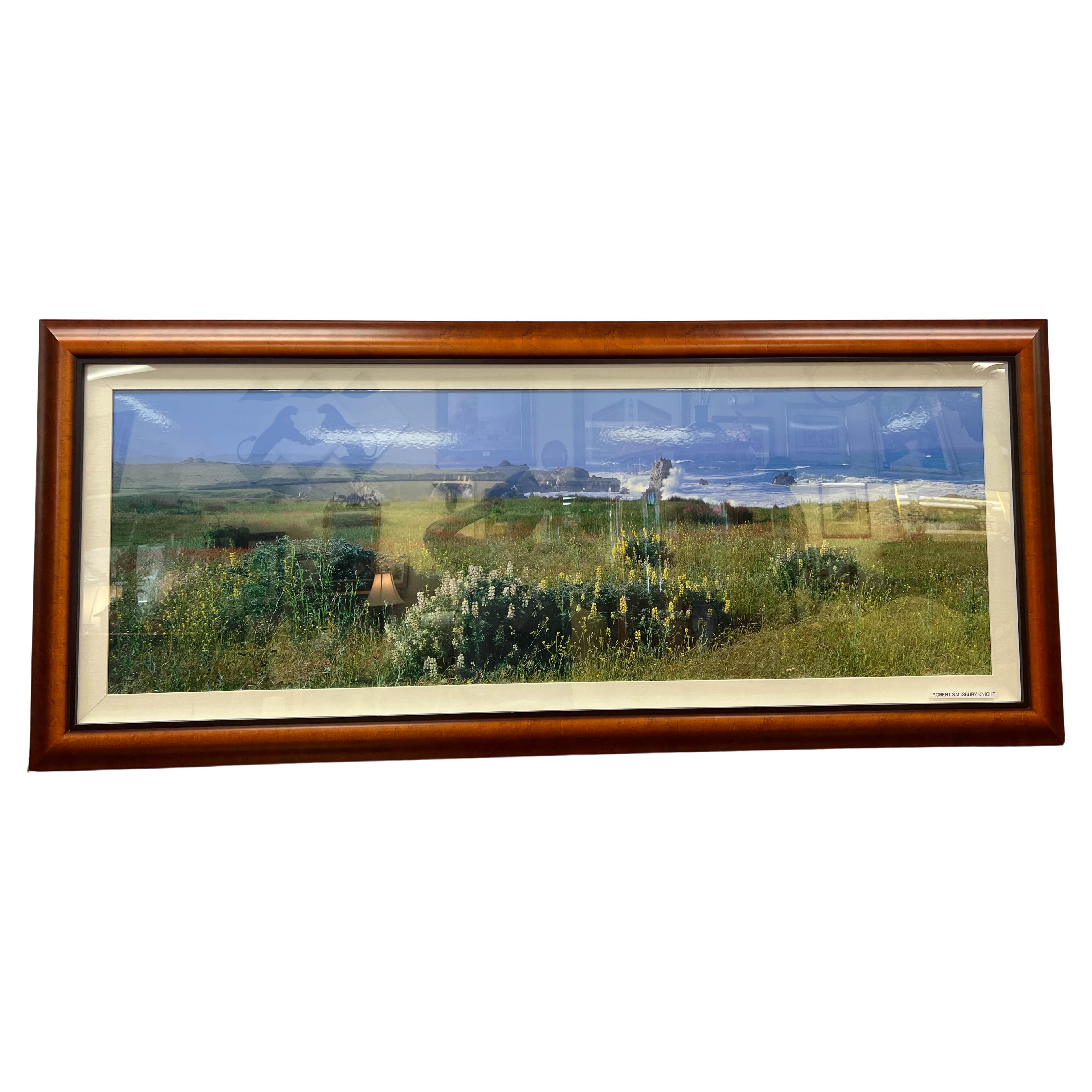 Robert Salisbury Knight Panorama Photograph, "Wildflower Coast", Framed For Sale