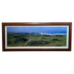 Robert Salisbury Knight Fotografia panoramica, "Wildflower Coast", con cornice