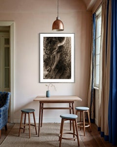 L'occhio del Bisonte