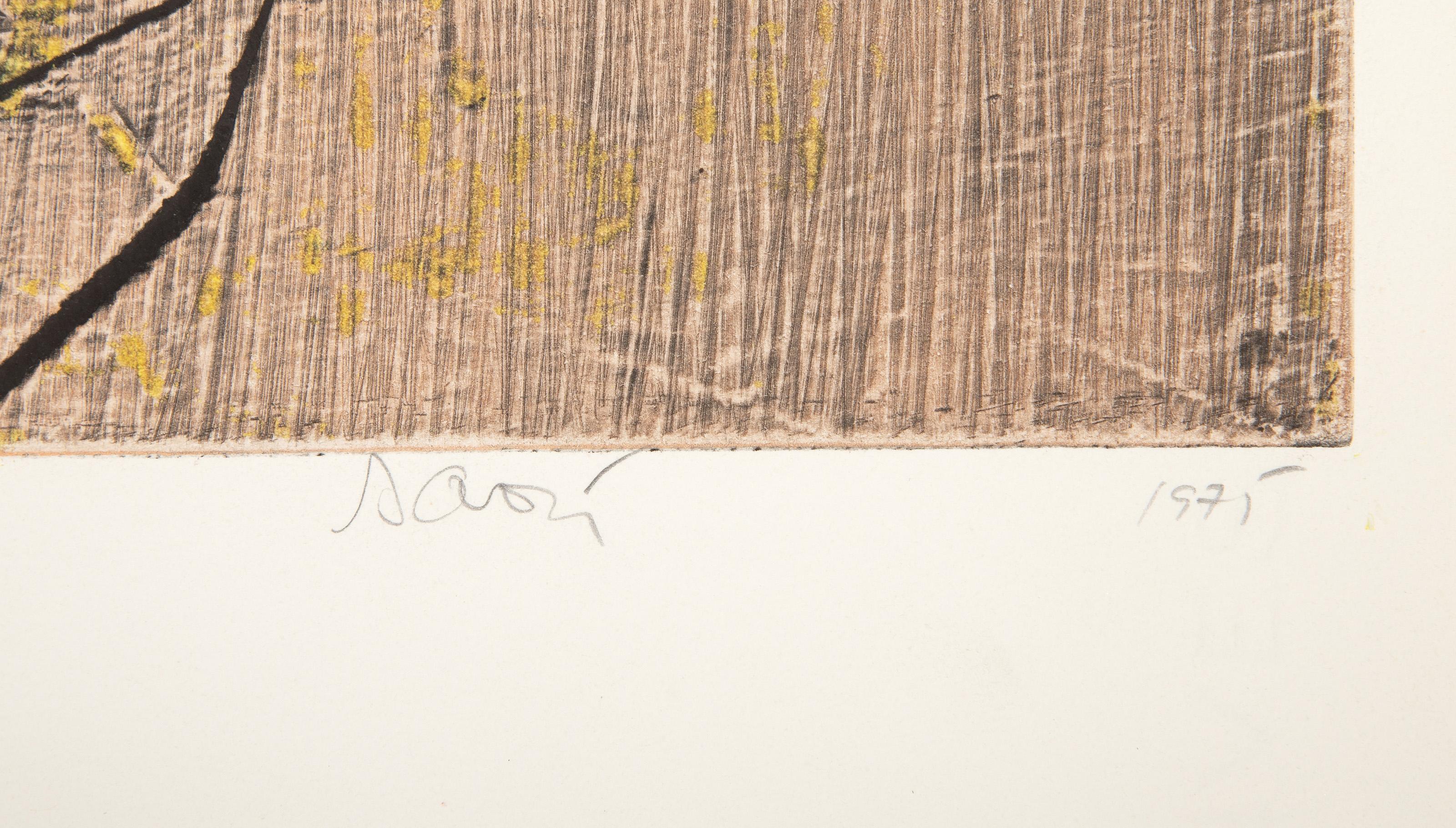 Montezuma, Abstract Expressionist Etching by Robert Savoie For Sale 2