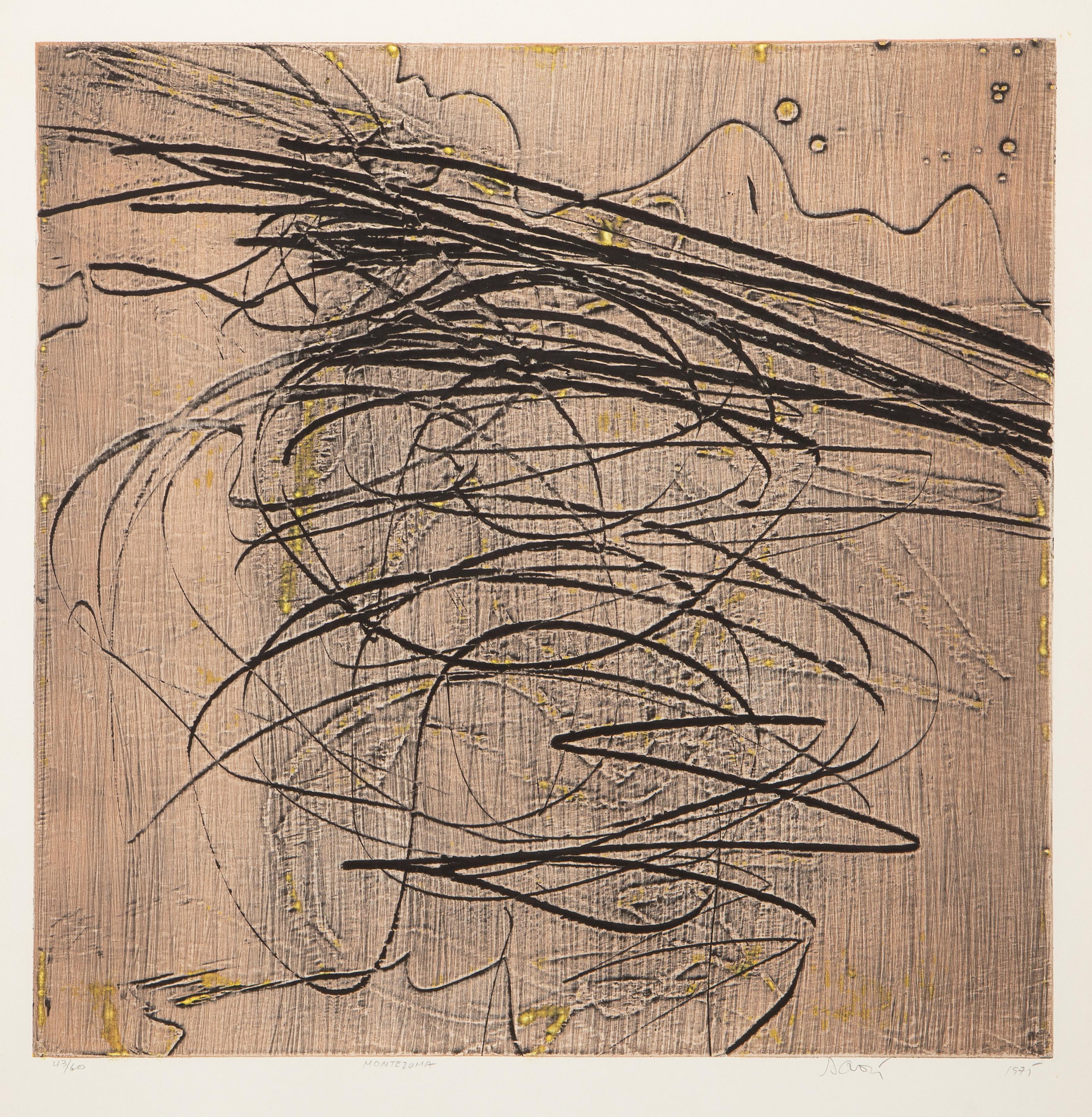  Robert Savoie, Canadian (1939 - ) -  Montezuma, Year: 1975, Medium: Etching on BFK Rives, signed, numbered, titled and dated in pencil, Edition: 43/60, Image Size: 17.5 x 17.75 inches, Size: 25.75 x 19.75 in. (65.41 x 50.17 cm)