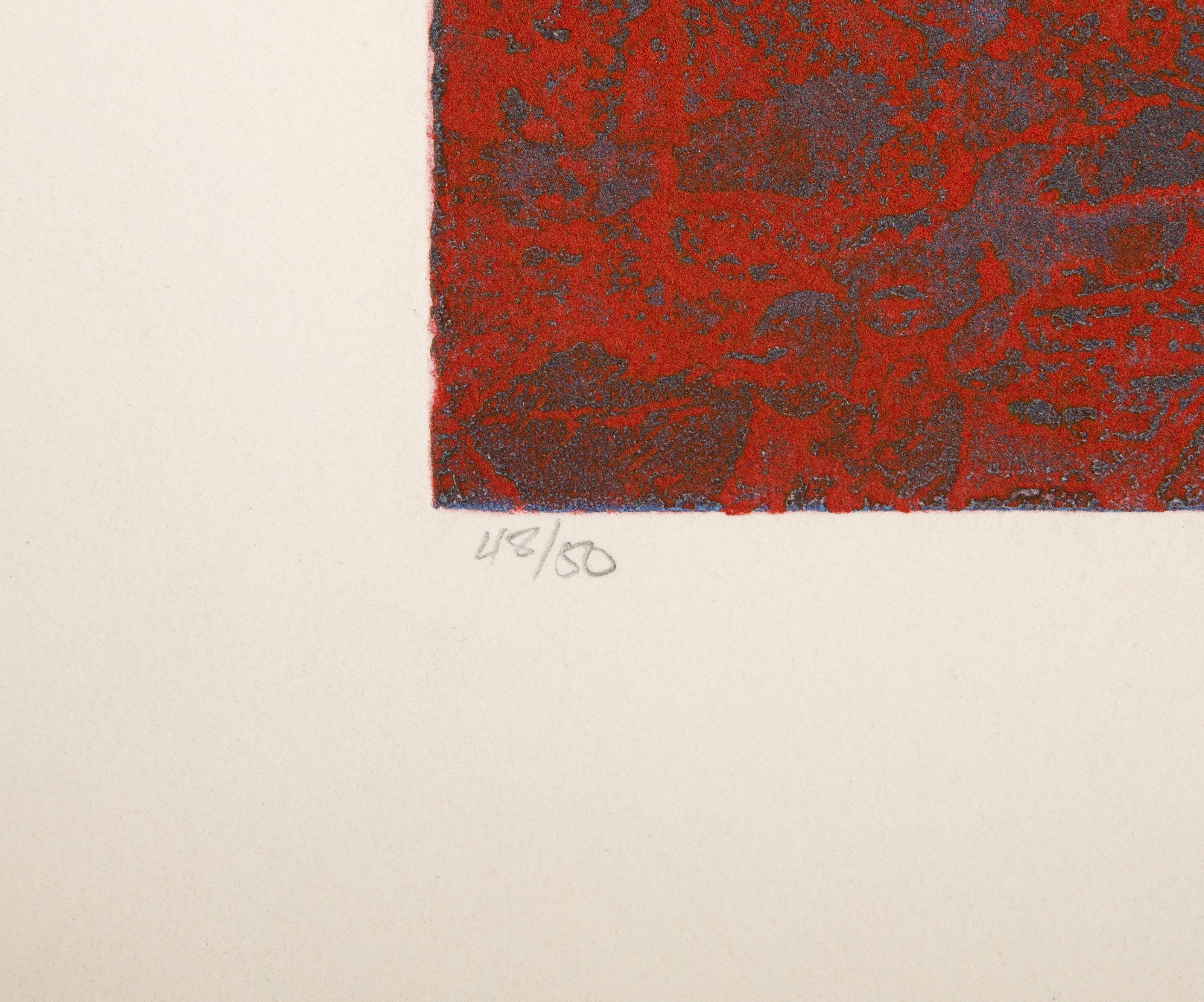 Bois Nocturne, Abstract Expressionist Etching by Robert Savoie For Sale 1