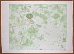 "Cambiamenti con il vento" 1972 incisione litografica originale firmata Artis americano