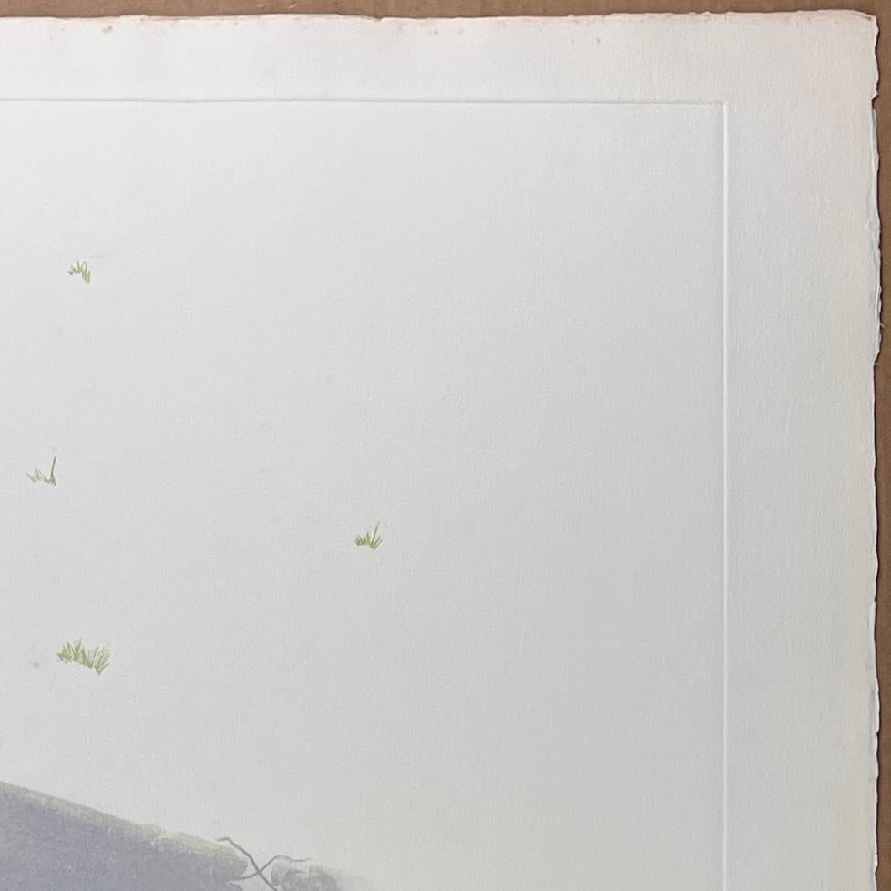 Robert Smith (Stati Uniti, 1944)
'L'ultima primavera', 1972
incisione e acquaforte su carta
21,7 x 29,6 pollici (55 x 75 cm)
Edizione di 75
Non incorniciato
ID: SMI1158-002-075
Firmato a mano dall'autore