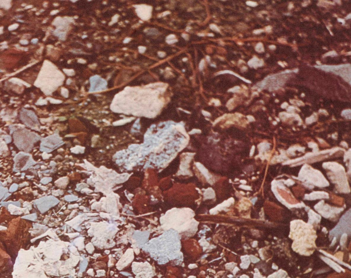 Robert Smithson Fotografía desgarrada de la Segunda Parada (Escombros) 1970 Estadounidense en venta