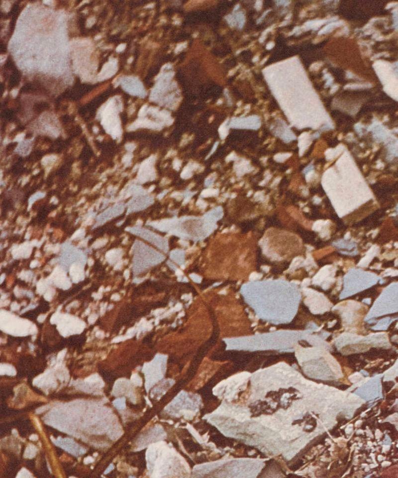 Robert Smithson Fotografía desgarrada de la Segunda Parada (Escombros) 1970 Presionado en venta