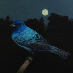 Blue Midnight