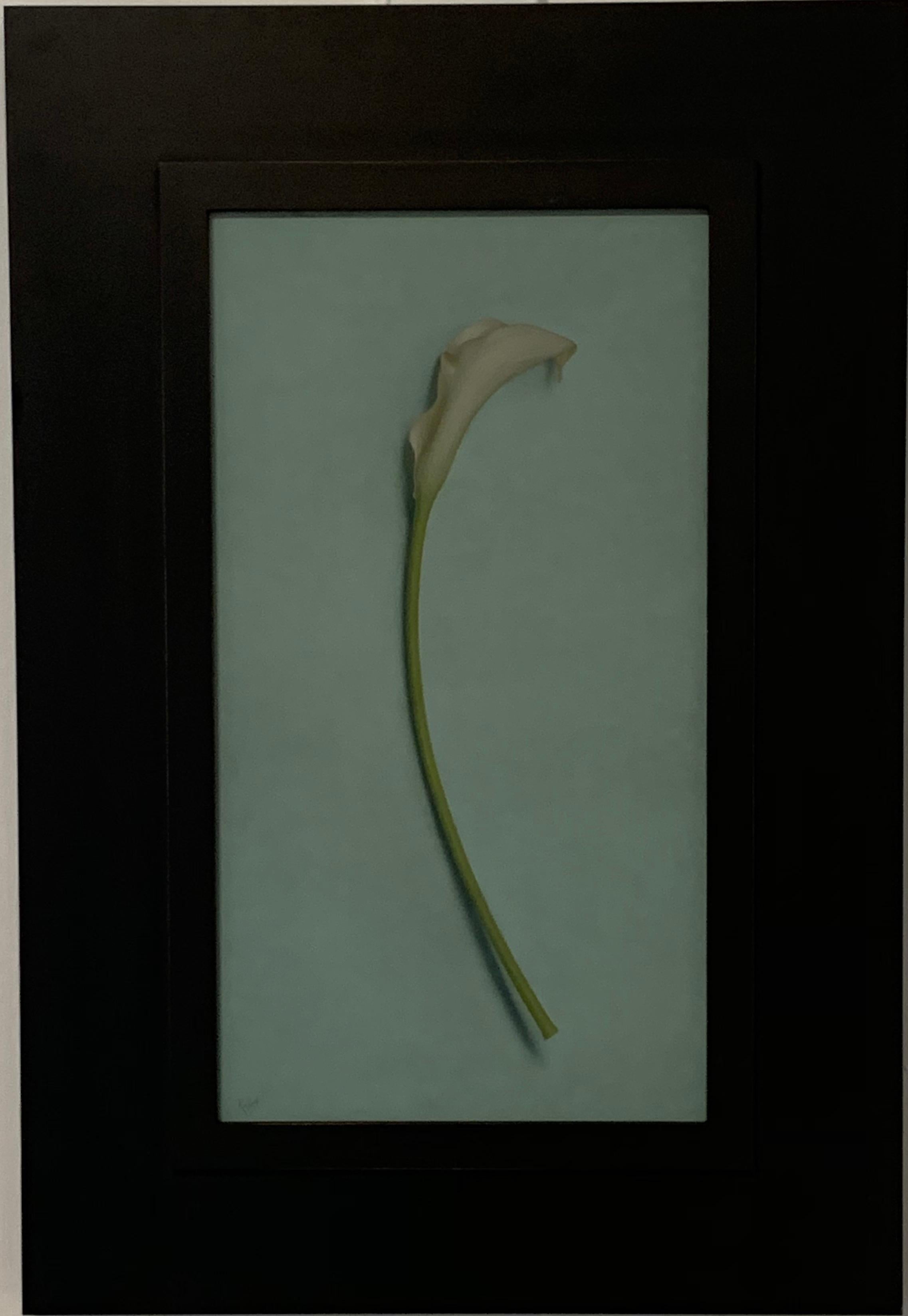Schlummern:: Calla-Lilien-Stillleben:: gemalt von Robert Stark III 1