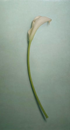 Rose Gold /& Kelly Green Calla Lily Comb