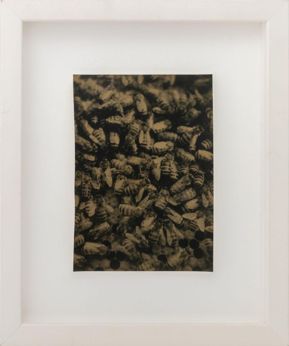 Robert Stivers Black and White Photography