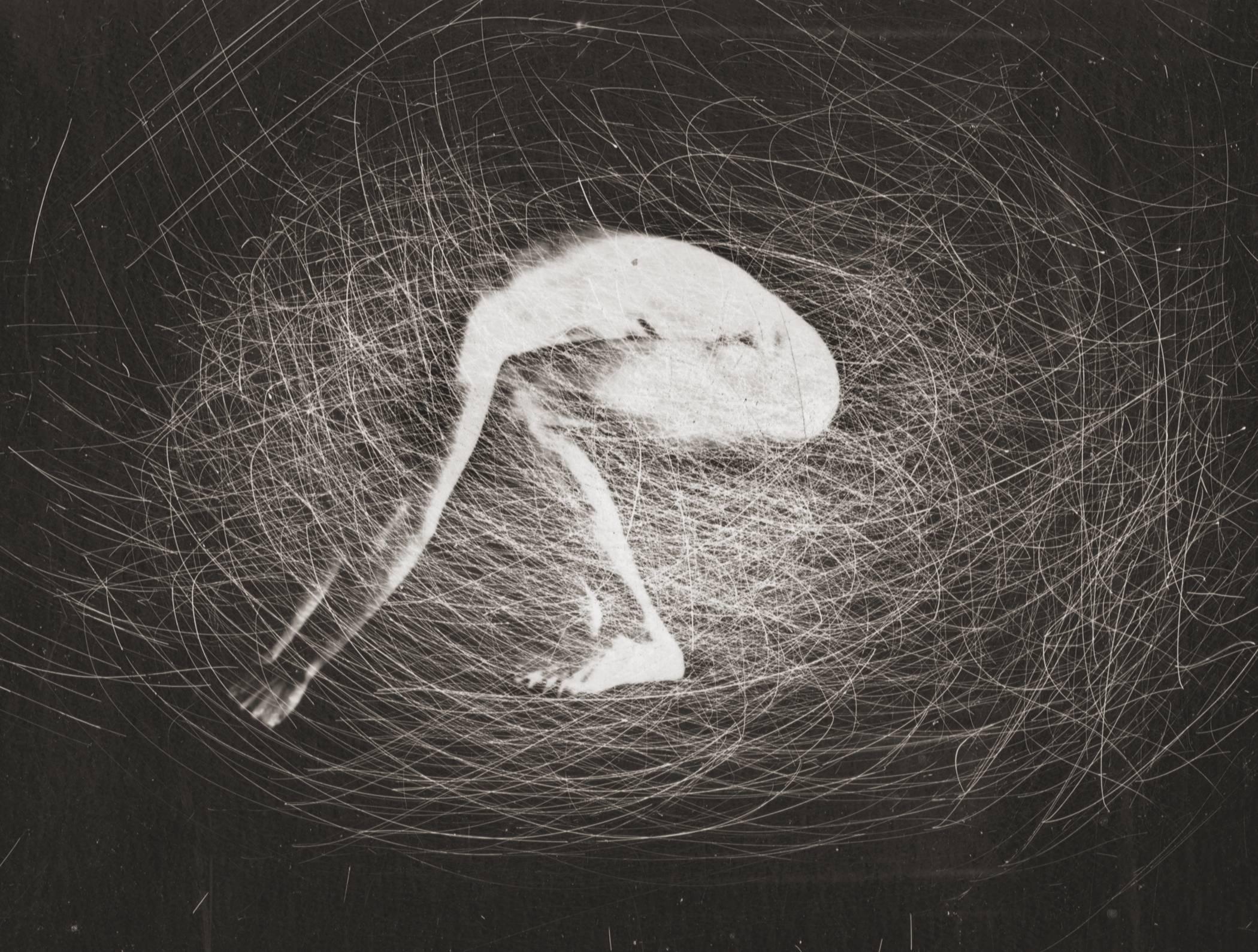 Nest-Nest
