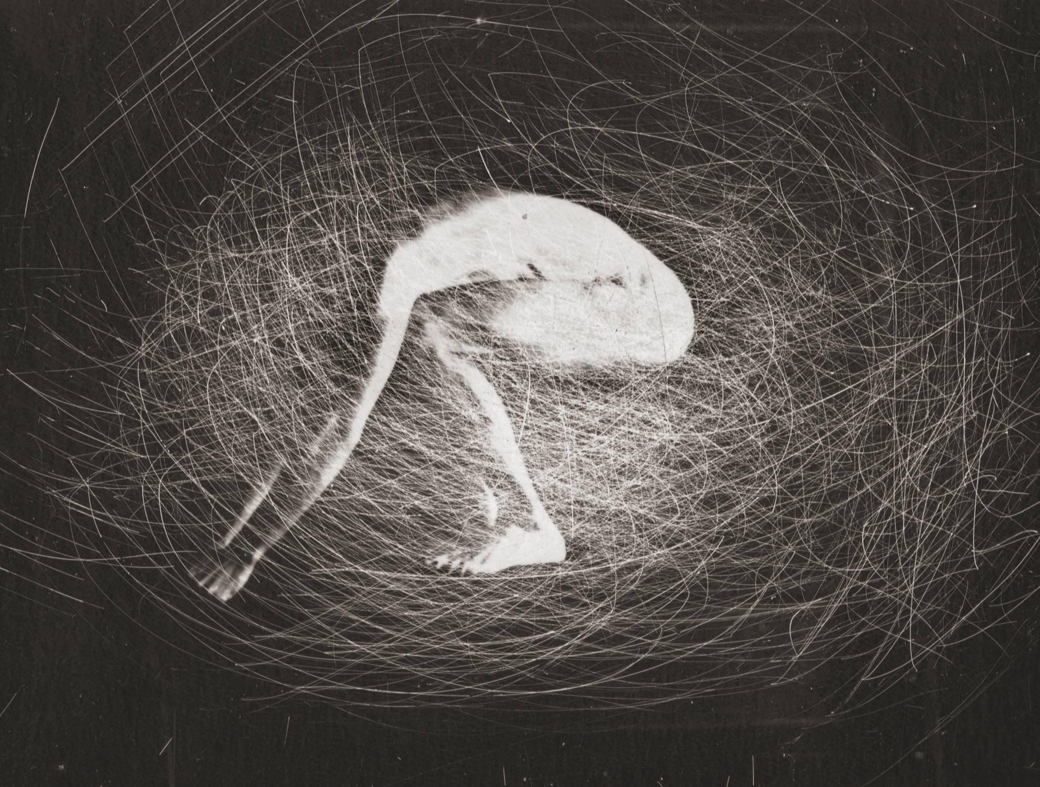 Robert Stivers Portrait Photograph – Nest-Nest