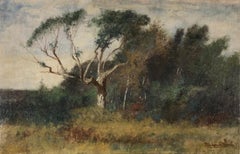 The Edge of the Forest