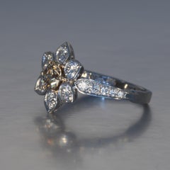 Robert Vogelsang Fancy Brown 0.63 Carat Diamond Flower Platinum Engagement Ring