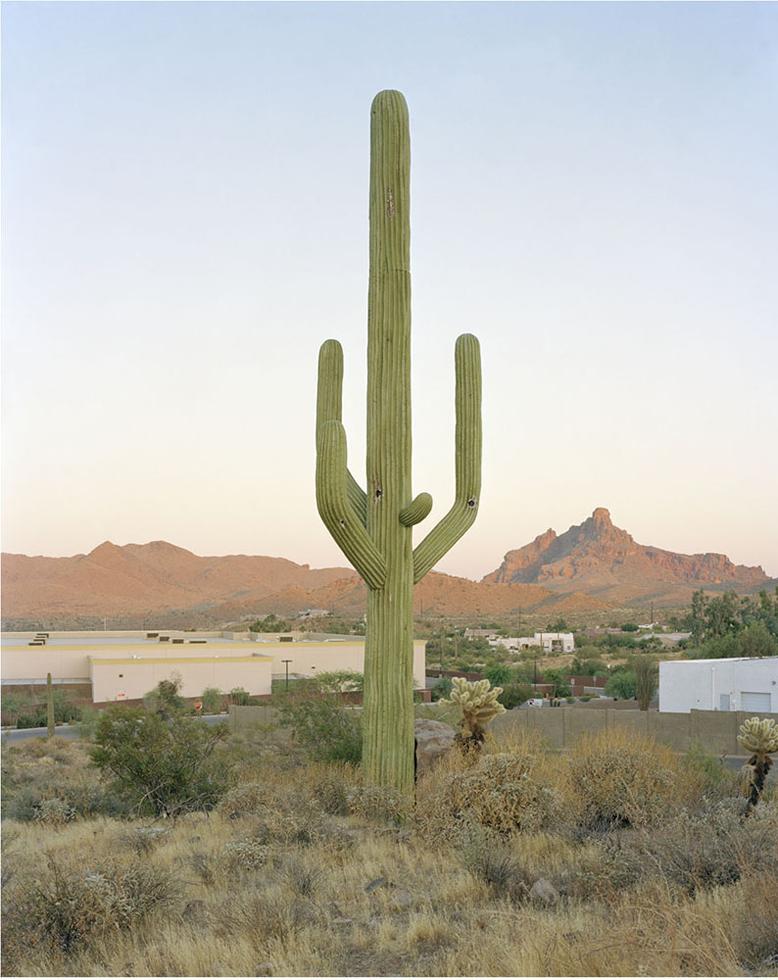 Robert Voit Landscape Photograph - East Cosmic Drive, Technology Drive, Fountain Hills, Arizona