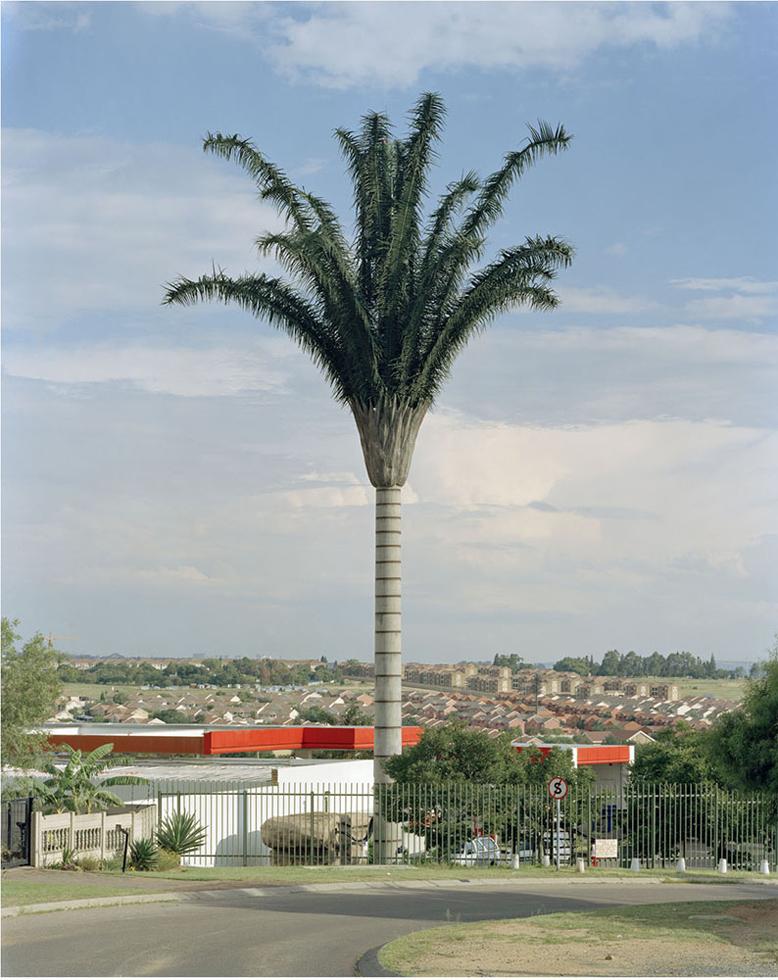 Robert Voit Landscape Photograph - Halfway Gardens, Midrand