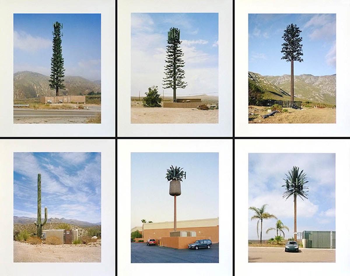 Robert Voit - Halfway Gardens, Midrand For Sale at 1stDibs