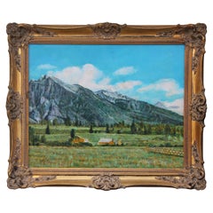 Landscape of Colorado Mountainside 
