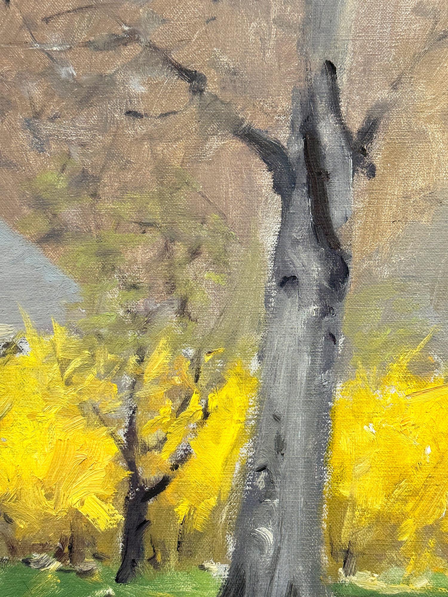 „Weeping Forsythia at the Park“ Buntes Landschaftsgemälde, Ölgemälde auf Leinwand, gerahmt im Angebot 1