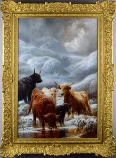 Cattle in the Winter Highlands
