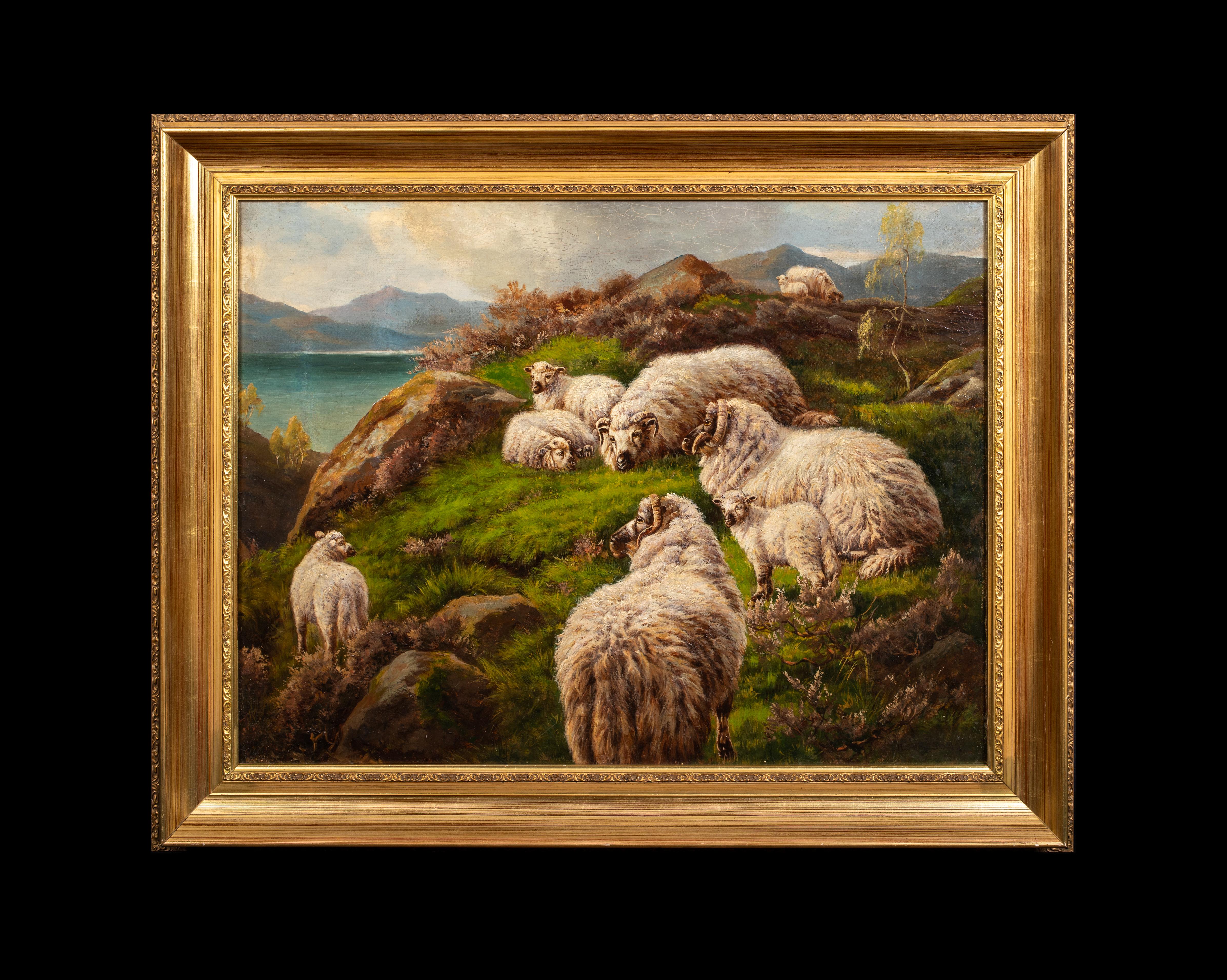 Highland Sheep Resting By Loch Lomond, 19th Century  - Painting by Robert Watson
