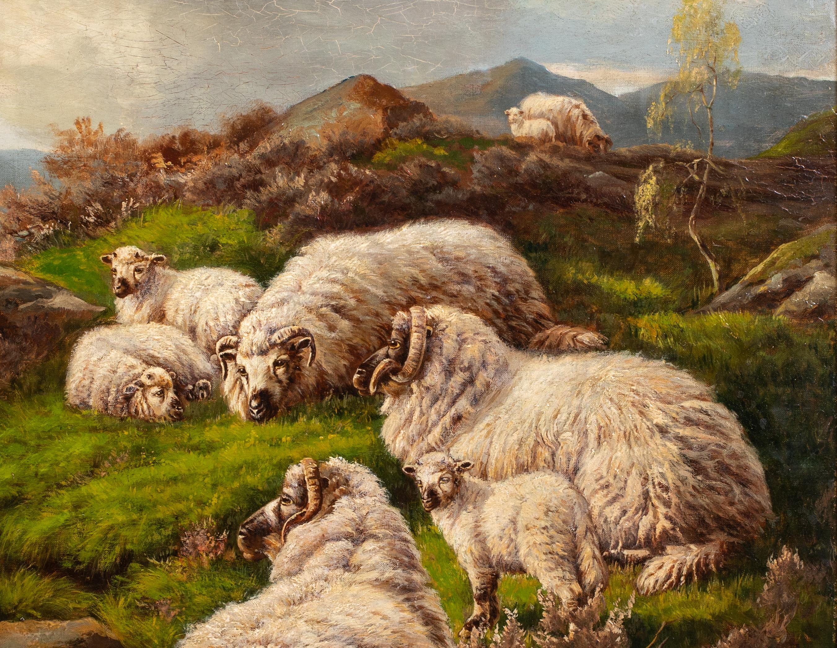 Highland Sheep Resting By Loch Lomond, 19th Century  1