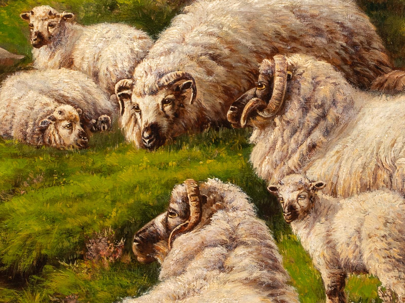 Highland Sheep Resting By Loch Lomond, 19th Century  2