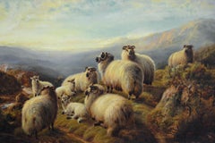 Landscape oil painting of Highland Sheep resting on a mountain