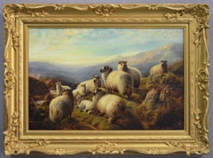 Landscape oil painting of Highland Sheep resting on a mountain