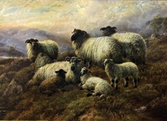 Sheep on a Hillside, original oil on canvas, sheep in a highland landscape, 1915
