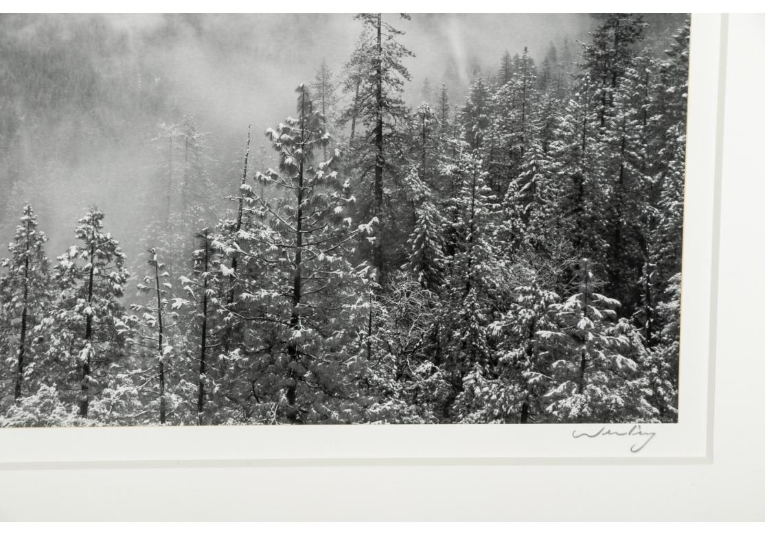 Rustic Robert Werling (American, B.1946) Black And Photograph, Mountain Landscape For Sale