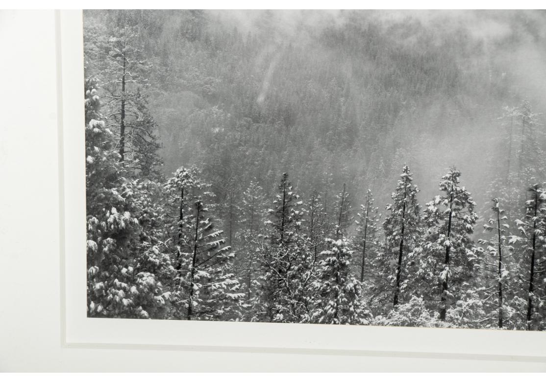 20th Century Robert Werling (American, B.1946) Black And Photograph, Mountain Landscape For Sale