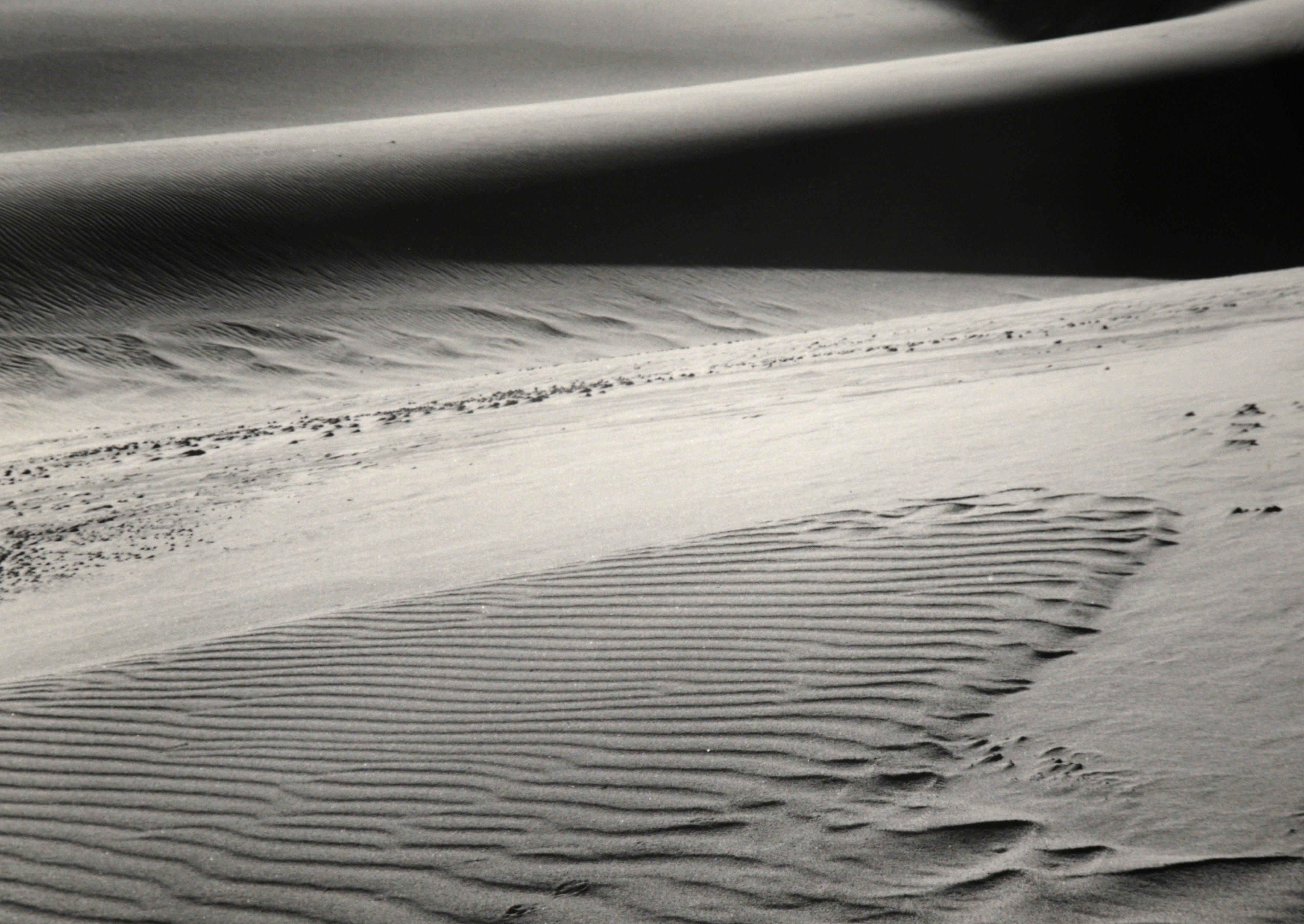 Silver gelatin print of sand dunes by Robert Werling (American, b. 1946). The dunes are highly detailed, showing texture and depth. Areas of black contrast with the light sand, demonstrating Werling's expertise with black and white photography.