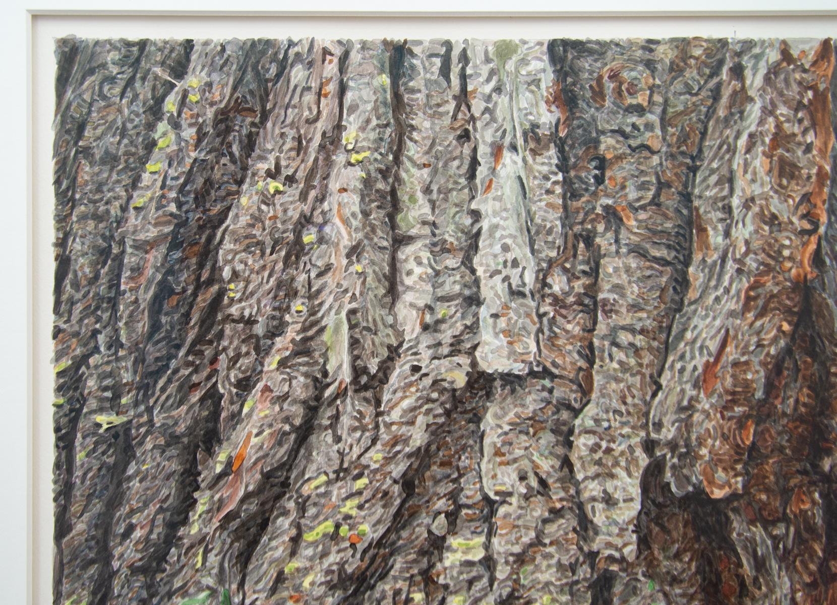 Wiens’s large-scale watercolours take the trees of old growth forests as subject matter. These detailed works appear near-photographic from a distance, giving way to an abstract slur of painted strokes upon closer examination.

The work is framed