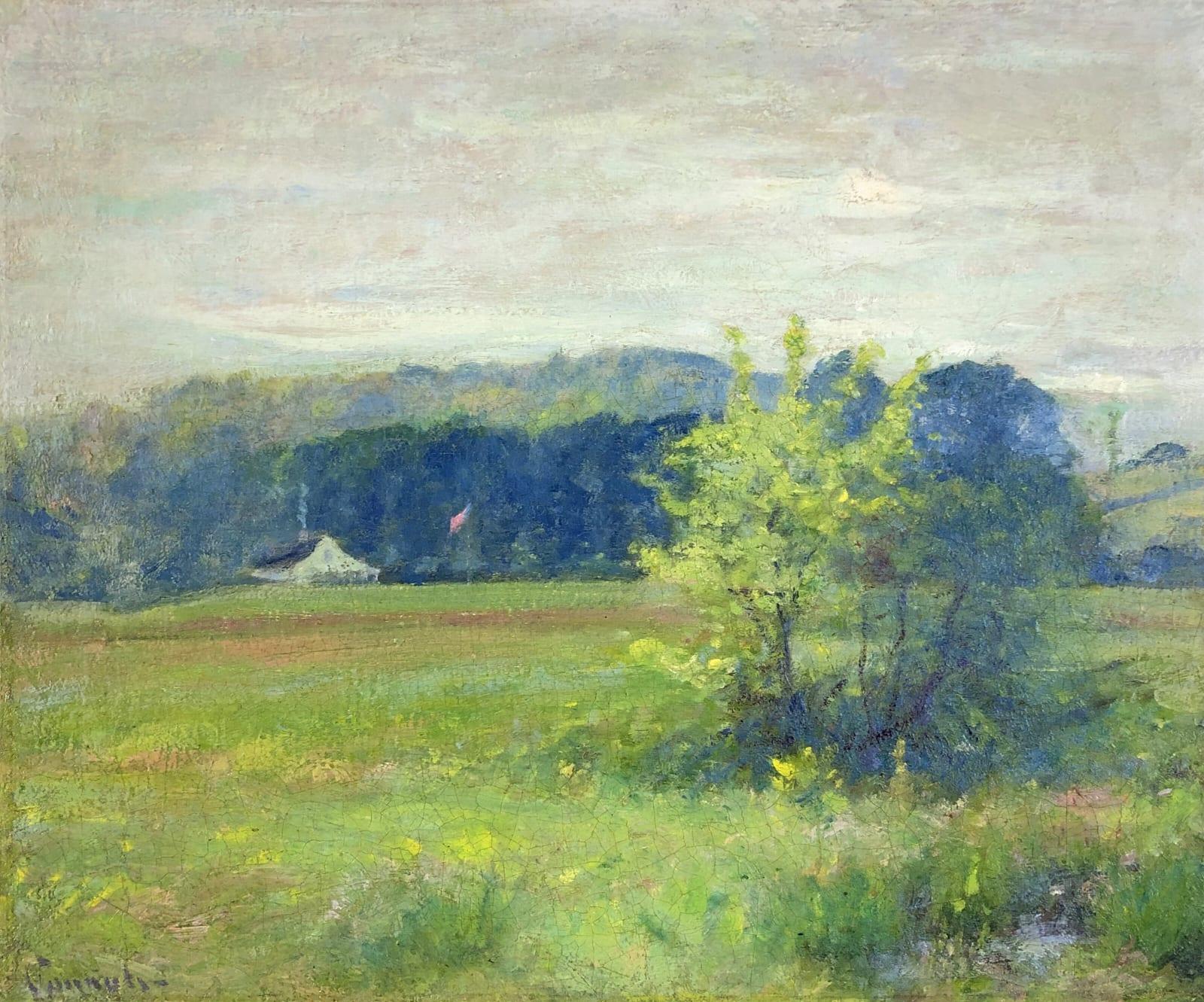 Spring in the Meadow