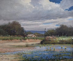 "Boerne Texas"  Bluebonnets Texas Hill Country Ranch
