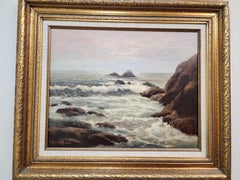 Bird Rocks, Laguna Beach California by Robert Wood