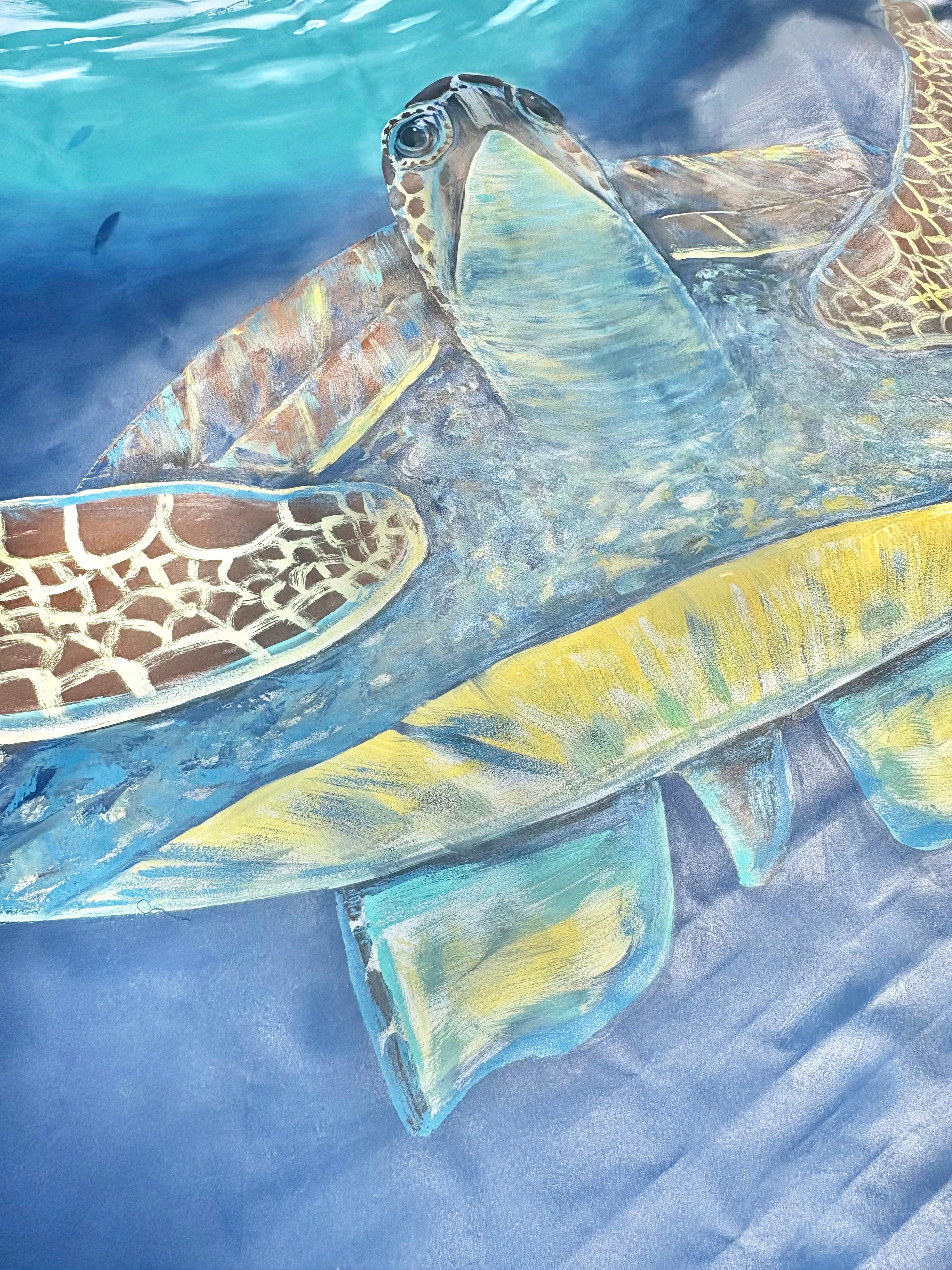 “Turtle” For Sale 1