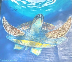 “Turtle”