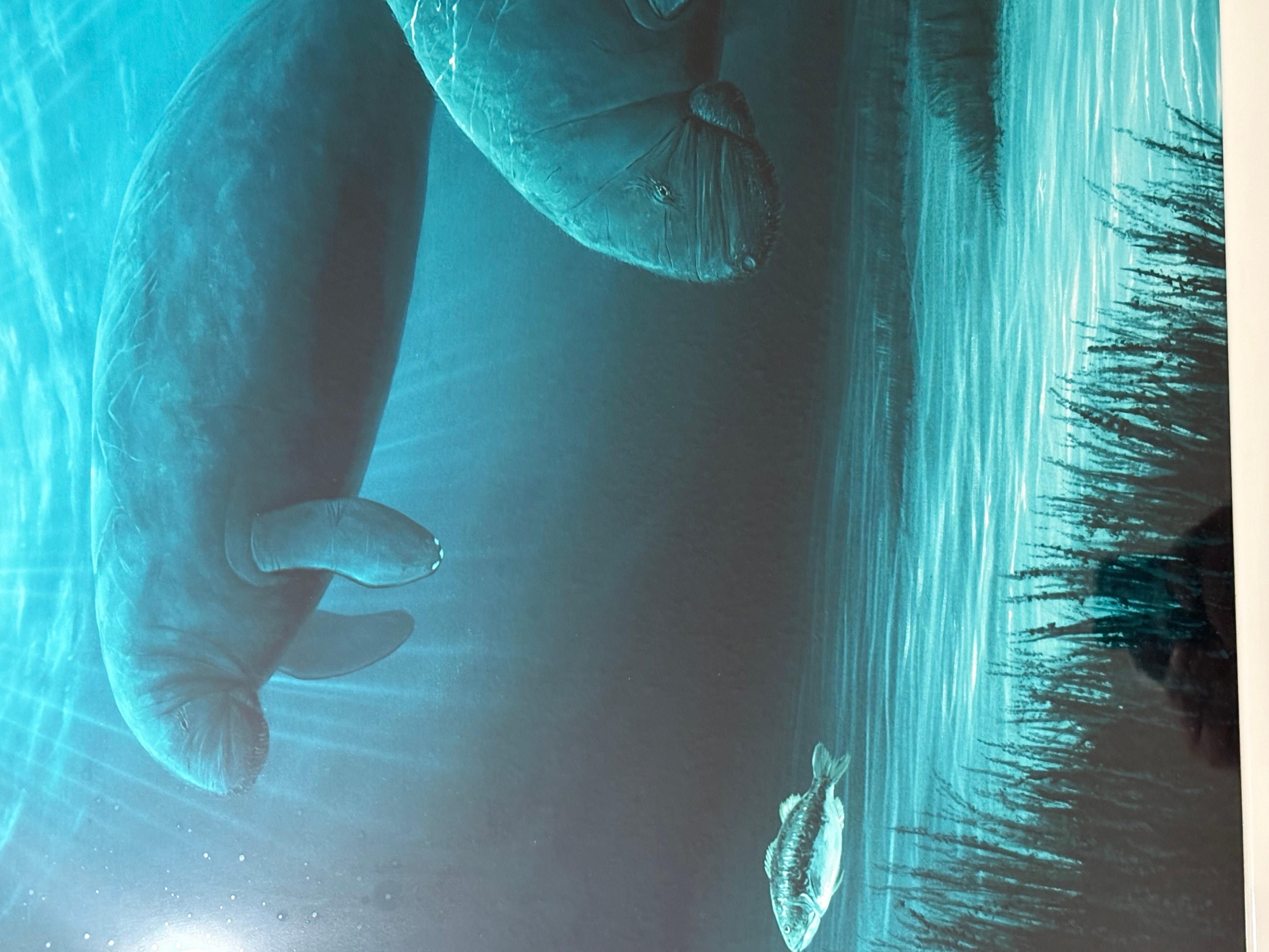 “Endangered Manatee“ For Sale 2