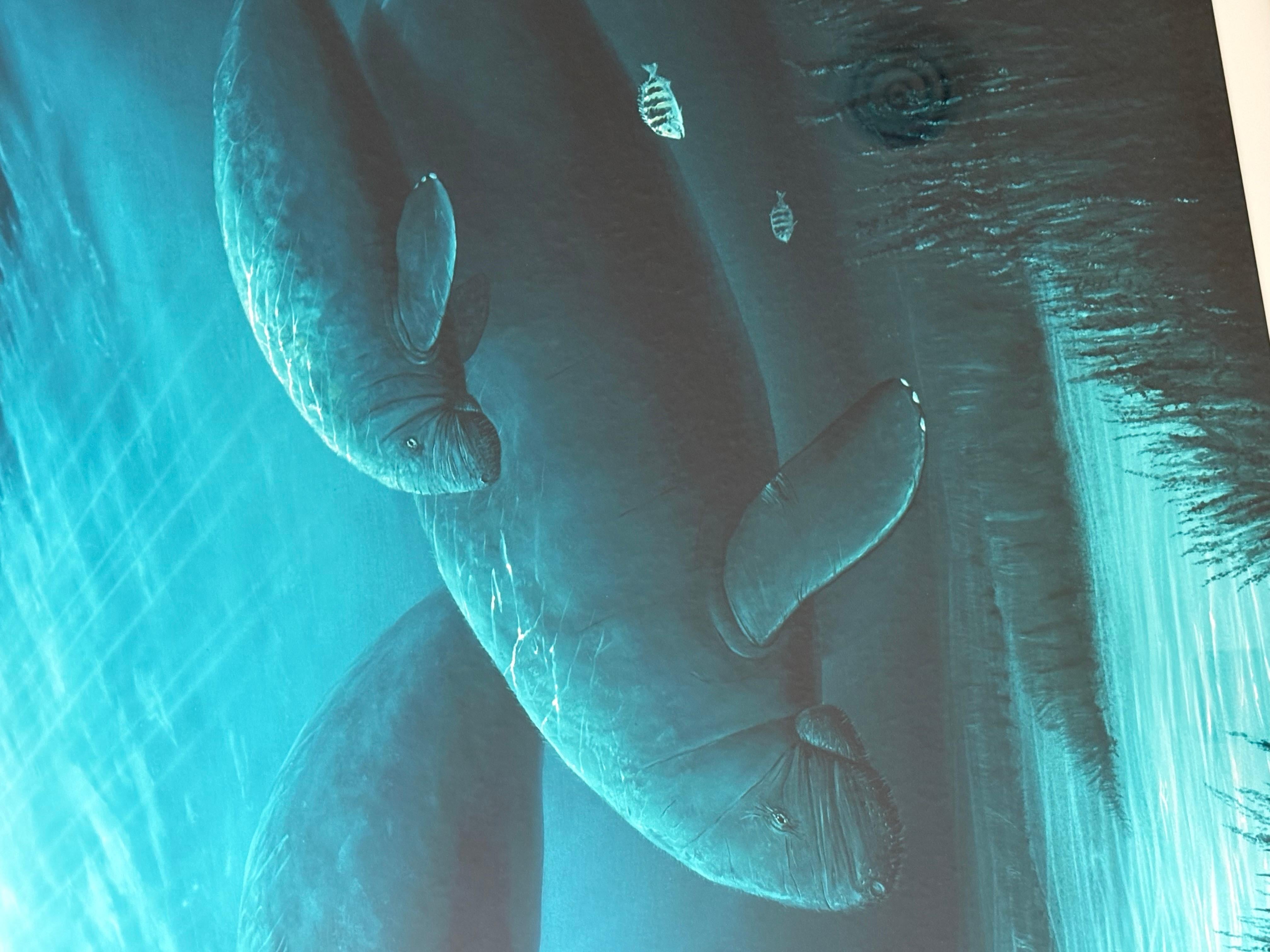 “Endangered Manatee“ For Sale 3