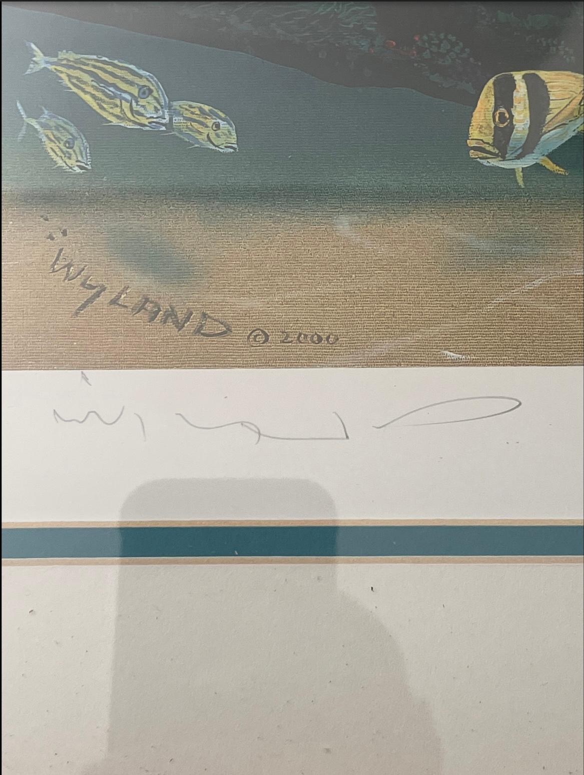 wyland obando
