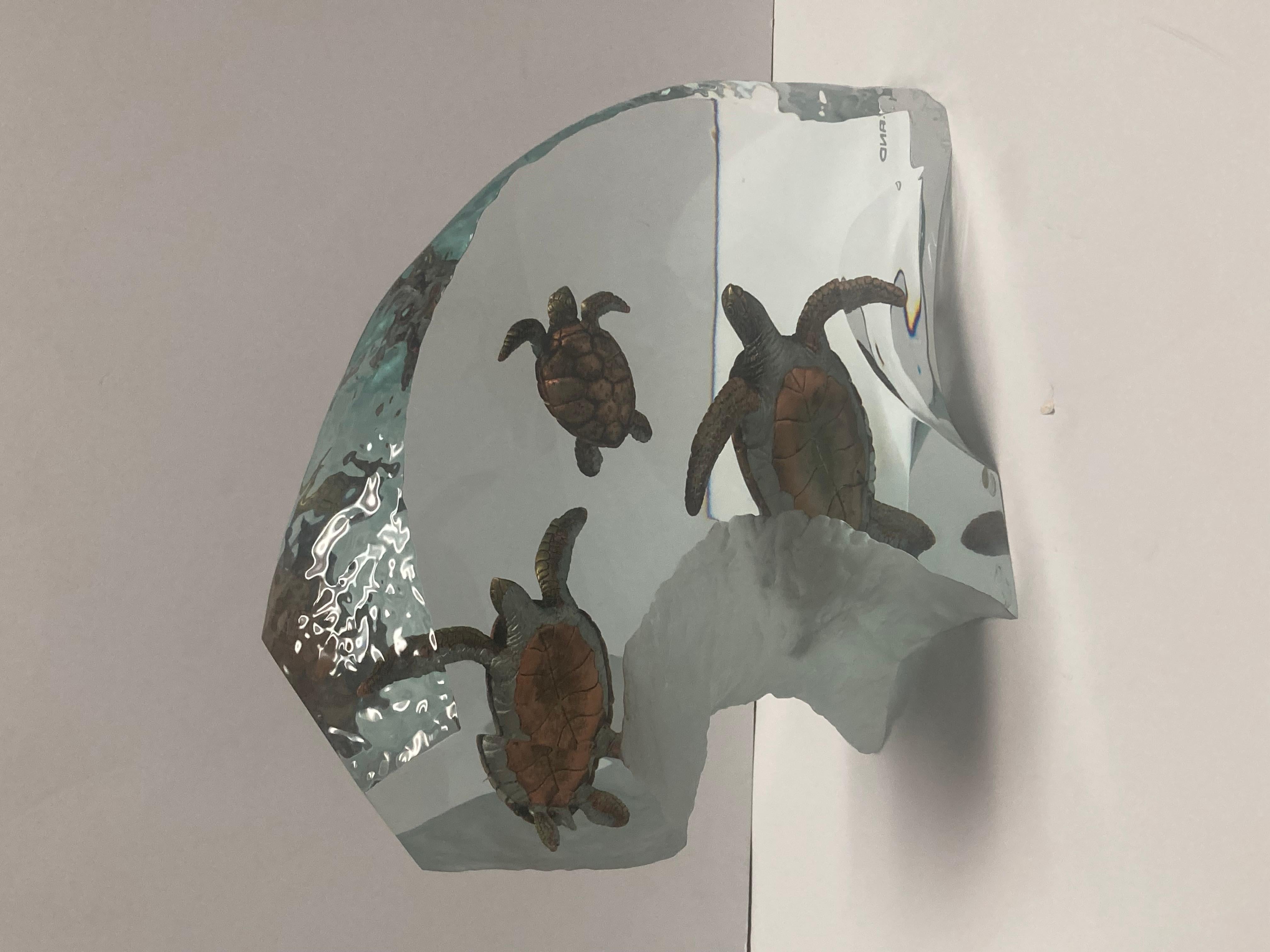 Tribu de las Tortugas 4