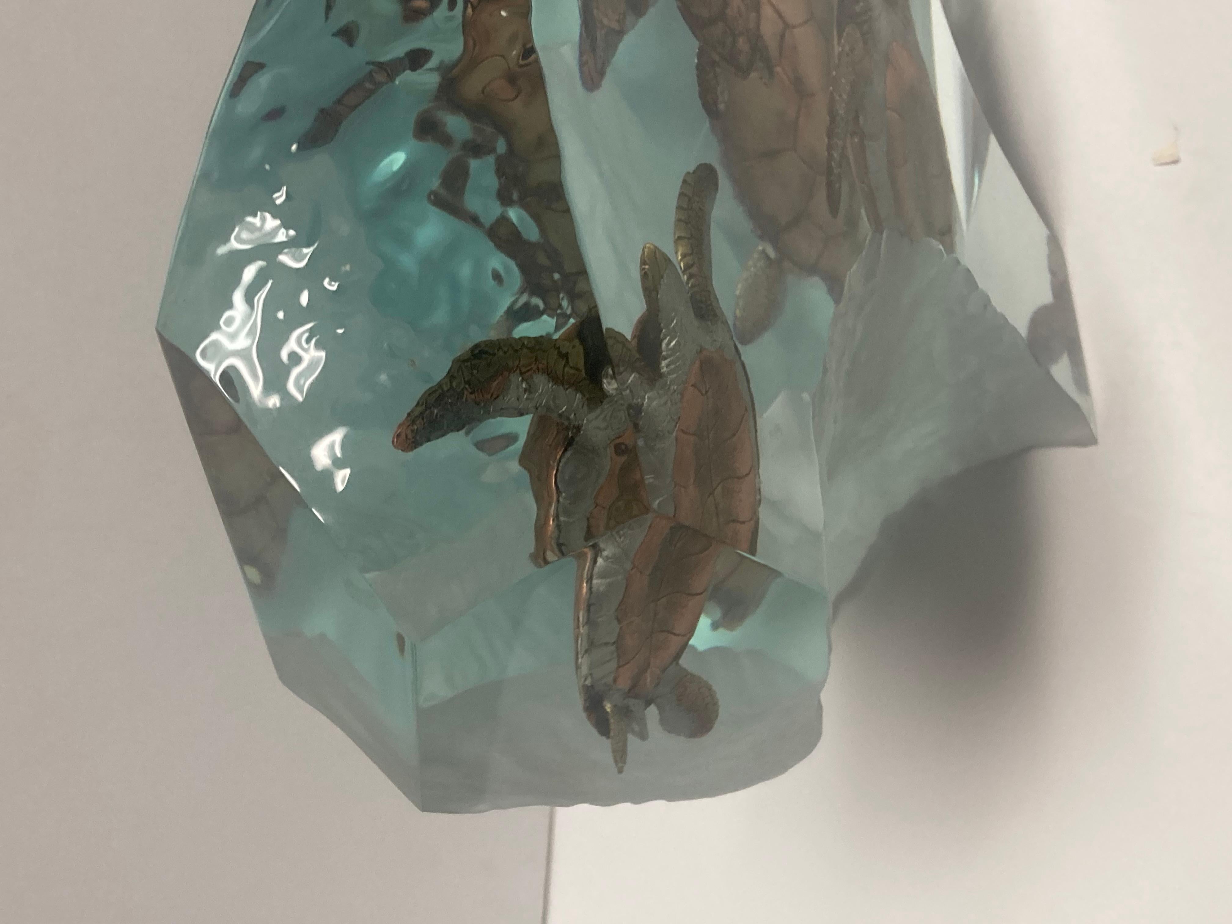 Tribu de las Tortugas 5