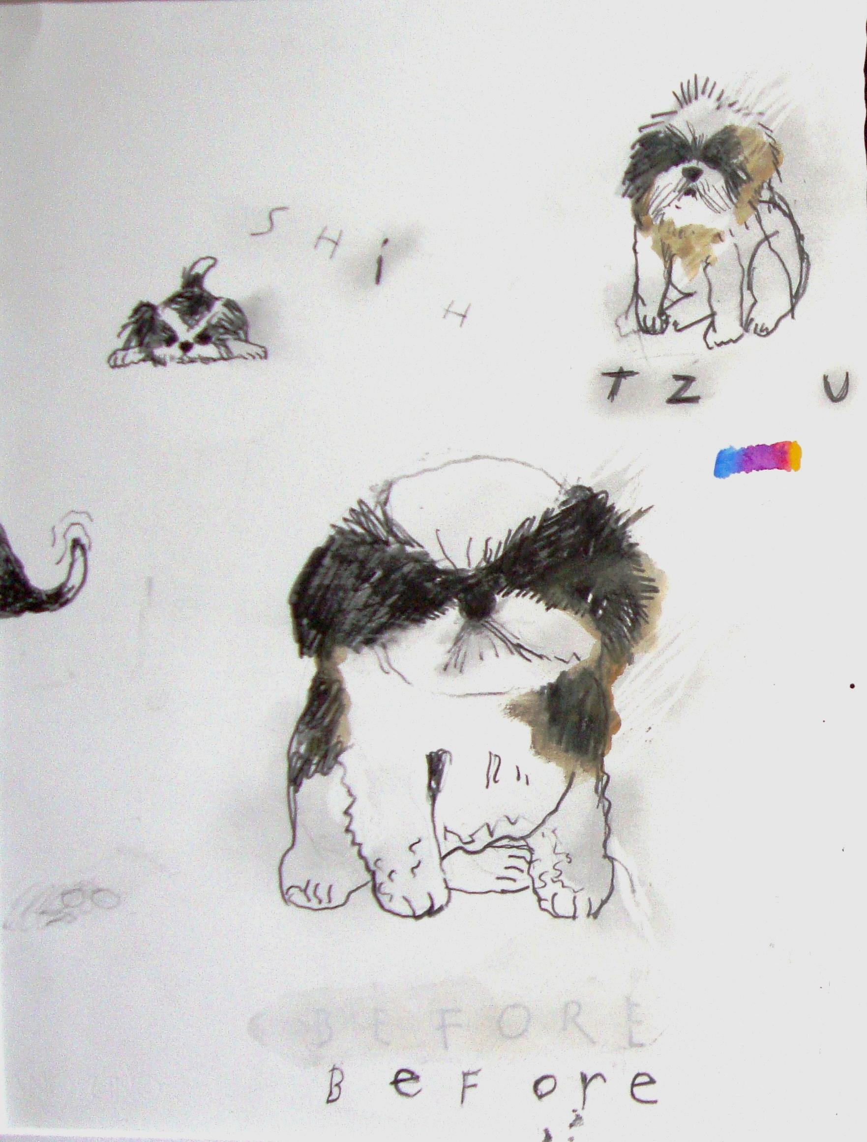 Contemporary, sentimental painting of a Shit Tzu with graphite drawings  - Art by Robert Zakanitch