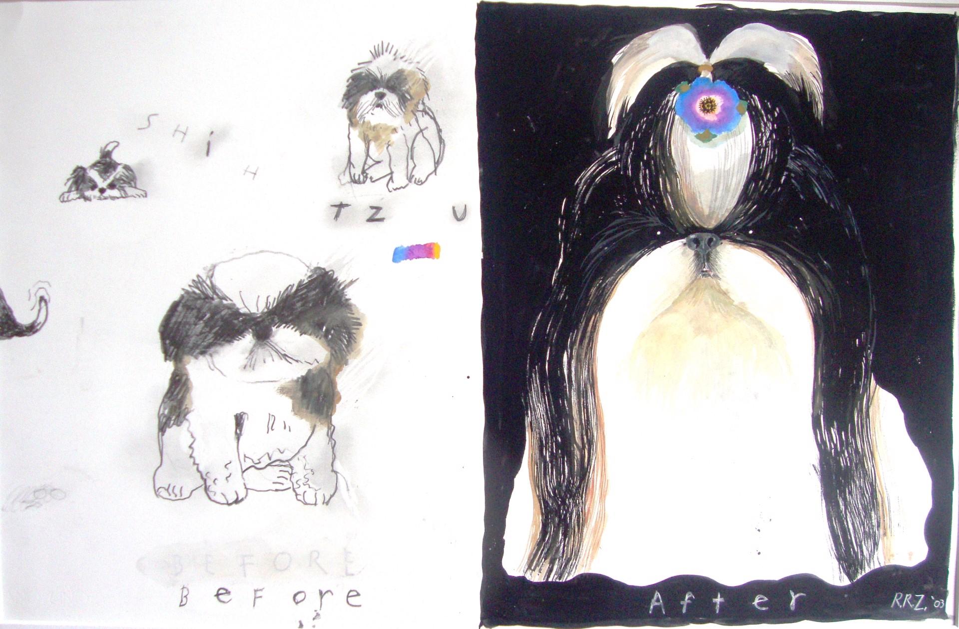 Contemporary, sentimental painting of a Shit Tzu with graphite drawings 