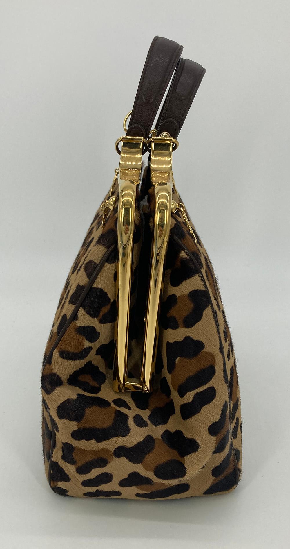 Roberta Di Camerino Leopard Print Pony Hair Frame Bag in very good condition. Leopard print pony hair exterior trimmed with brown leather handles and gold hardware. Signature gold 