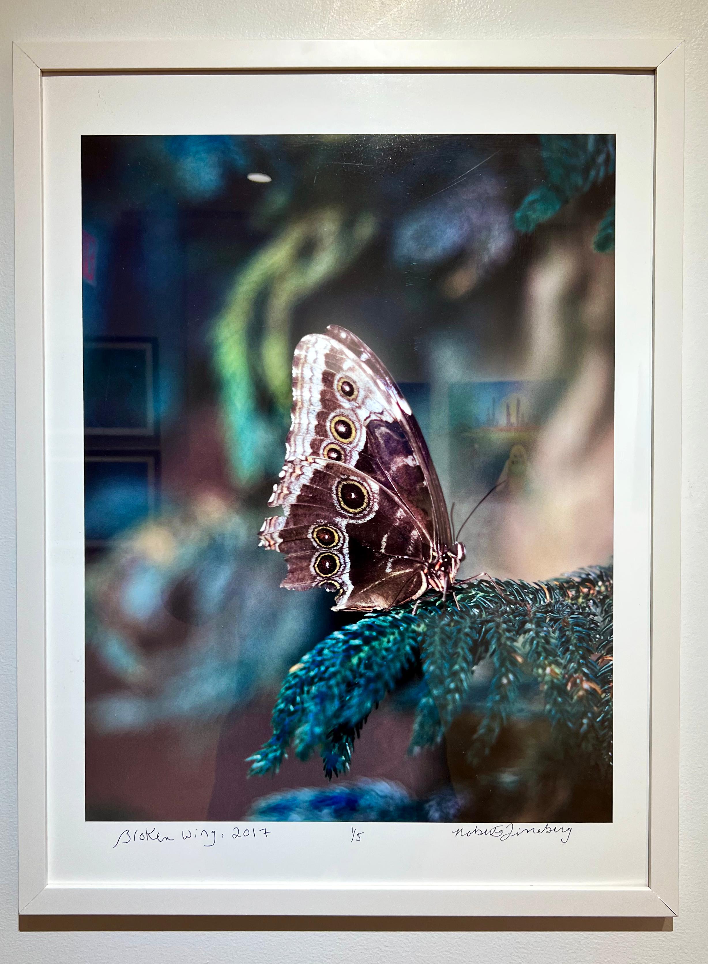 Broken Wing, Schmetterlingsserie, Zeitgenössische Farbfotografie  – Photograph von Roberta Fineberg